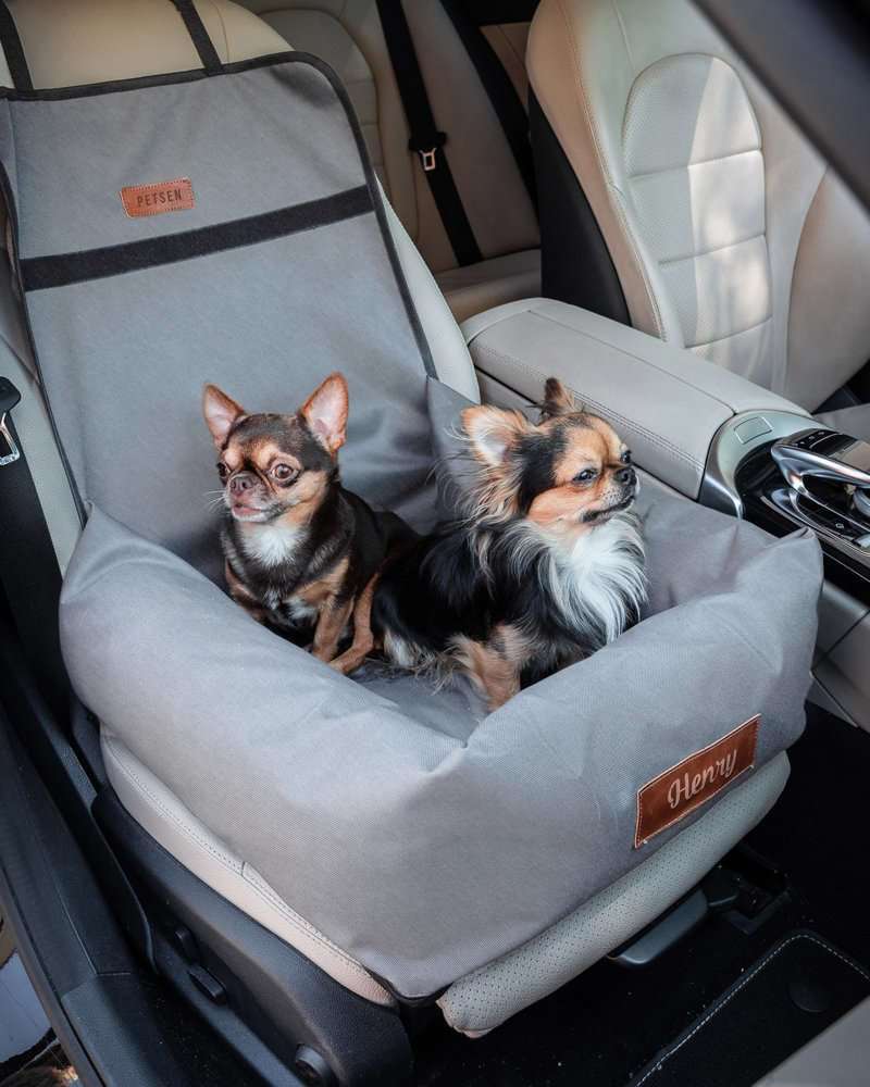 PetsPersonal Mand & Autostoel Licht grijs