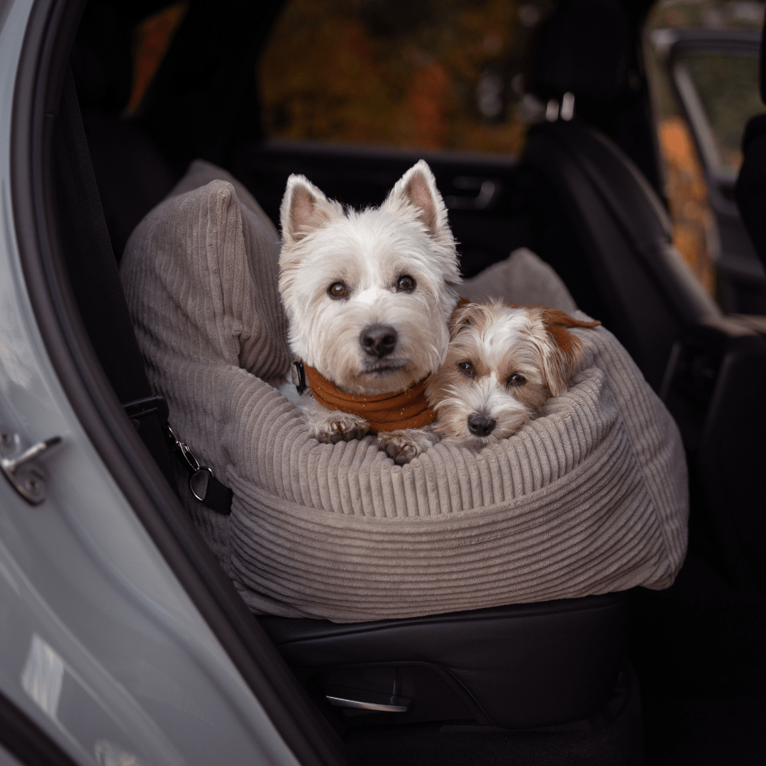 PetsPersonal Mand & Autostoel Licht Grijs