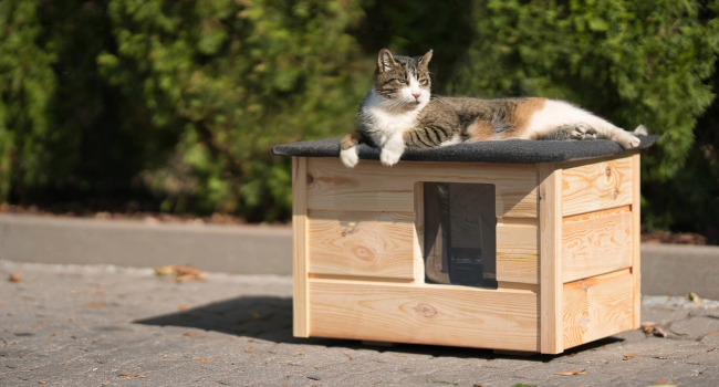 PetsPerformance Kattenkennel Gepersonaliseerd